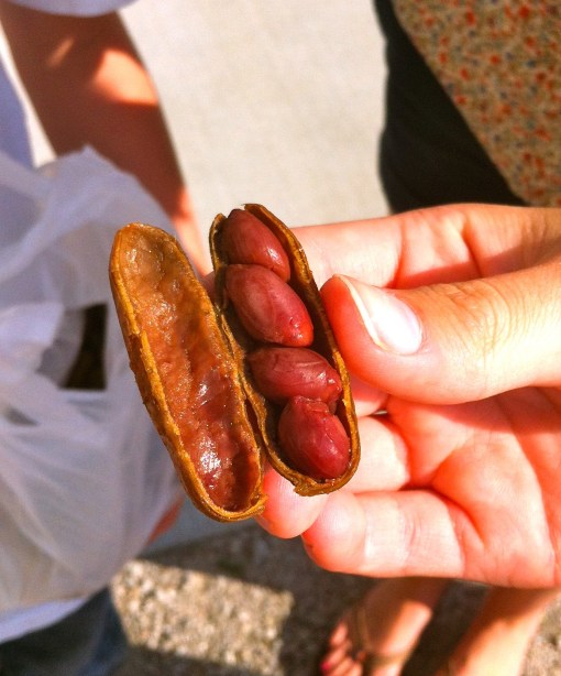 boiled peanuts